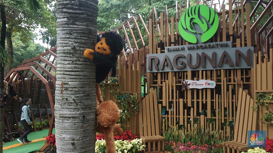 Sejumlah pengujung melihat hewan yang diawetkan di stan Taman Margasatwa Ragunan pada pameran Flona 2025 di Lapangan Banteng, Jakarta, Senin (11/8/2025). (CNBC Indonesia/Muhammad Sabki)
