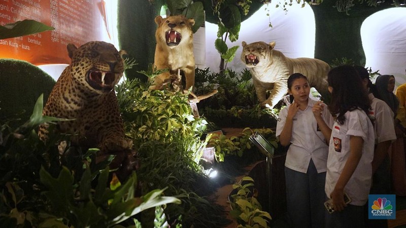 Sejumlah pengujung melihat hewan yang diawetkan di stan Taman Margasatwa Ragunan pada pameran Flona 2025 di Lapangan Banteng, Jakarta, Senin (11/8/2025). (CNBC Indonesia/Muhammad Sabki)