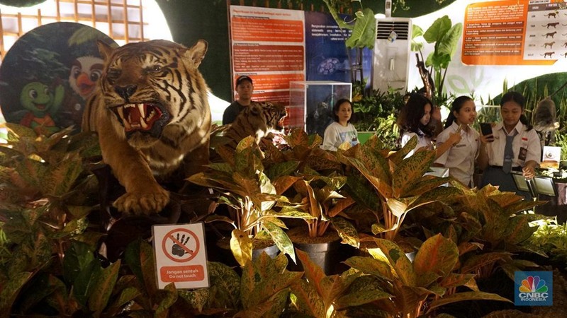 Sejumlah pengujung melihat hewan yang diawetkan di stan Taman Margasatwa Ragunan pada pameran Flona 2025 di Lapangan Banteng, Jakarta, Senin (11/8/2025). (CNBC Indonesia/Muhammad Sabki)