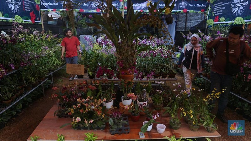 Sejumlah pengujung melihat hewan yang diawetkan di stan Taman Margasatwa Ragunan pada pameran Flona 2025 di Lapangan Banteng, Jakarta, Senin (11/8/2025). (CNBC Indonesia/Muhammad Sabki)