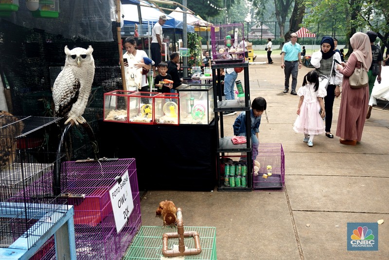 Sejumlah pengujung melihat hewan yang diawetkan di stan Taman Margasatwa Ragunan pada pameran Flona 2025 di Lapangan Banteng, Jakarta, Senin (11/8/2025). (CNBC Indonesia/Muhammad Sabki)