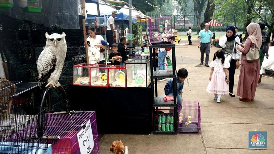 Sejumlah pengujung melihat hewan yang diawetkan di stan Taman Margasatwa Ragunan pada pameran Flona 2025 di Lapangan Banteng, Jakarta, Senin (11/8/2025). (CNBC Indonesia/Muhammad Sabki)
