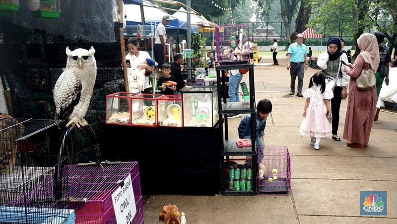 Sejumlah pengujung melihat hewan yang diawetkan di stan Taman Margasatwa Ragunan pada pameran Flona 2025 di Lapangan Banteng, Jakarta, Senin (11/8/2025). (CNBC Indonesia/Muhammad Sabki)