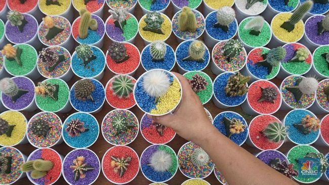 Melihat Ragam Tanaman Hias dan Hewan di Flona 2025