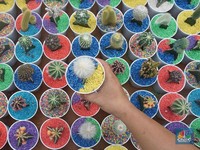 Melihat Ragam Tanaman Hias dan Hewan di Flona 2025