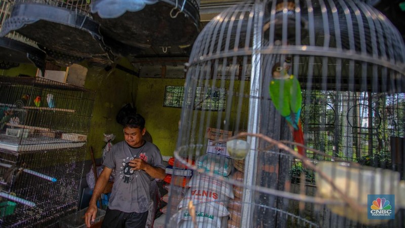 Susana penjualan di Pasar Hewan Barito, Jakarta, Senin (11/8/2025). Pedagang Pasar Hewan Barito tetap bertahan meski (Pemprov) Jakarta meminta para pedagang pindah ke lokasi baru karena area tersebut akan digunakan untuk pembangunan Taman Bendera Pusaka. (CNBC Indonesia/Faisal Rahman)