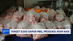 Video: Target 8.000 Dapur MBG, Produksi Ayam Naik