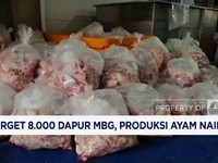 Video: Target 8.000 Dapur MBG, Produksi Ayam Naik