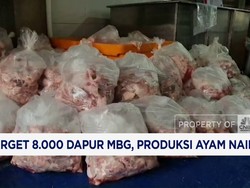 Video: Target 8.000 Dapur MBG, Produksi Ayam Naik