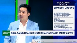 Video: Dihajar Tarif 19%, Produsen Udang RI Yakin Saingi India-Vietnam