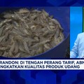 Video: Trump Bikin Produsen Udang Incar Pasar Eropa Cs, Kuat Bersaing?