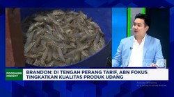 Video: Trump Bikin Produsen Udang Incar Pasar Eropa Cs, Kuat Bersaing?