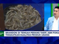 Video: Trump Bikin Produsen Udang Incar Pasar Eropa Cs, Kuat Bersaing?
