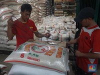 Pemerintah Belum Bahas Rencana Hapus Beras Medium-Premium dengan DPR