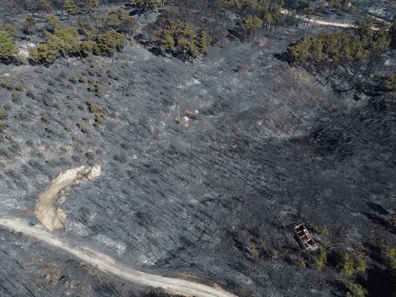 Foto udara menunjukkan dampak akibat kebakaran hutan di dekat Erenkoy, Canakkale, Turki, Selasa (12/8/2025). (REUTERS/Efekan Akyuz) Foto udara menunjukkan dampak akibat kebakaran hutan di dekat Erenkoy, Canakkale, Turki, Selasa (12/8/2025). (REUTERS/Efekan Akyuz)