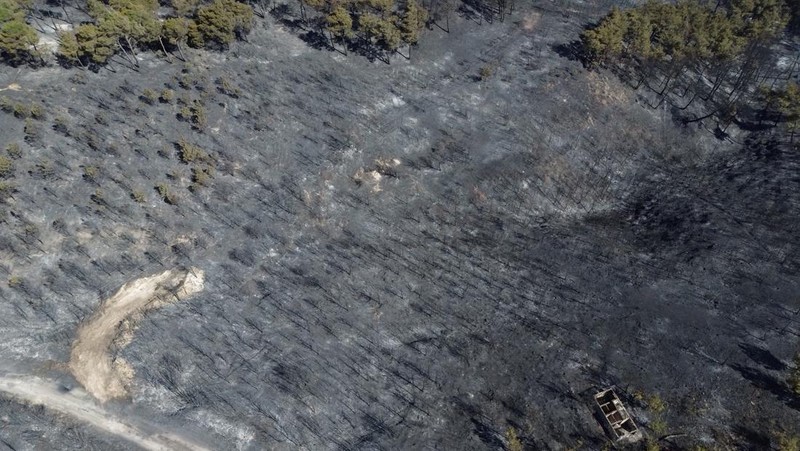 Foto udara menunjukkan dampak akibat kebakaran hutan di dekat Erenkoy, Canakkale, Turki, Selasa (12/8/2025). (REUTERS/Efekan Akyuz)