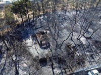 Potret Udara Negeri Dua Benua Hangus Digulung Kebakaran Hutan Dahsyat