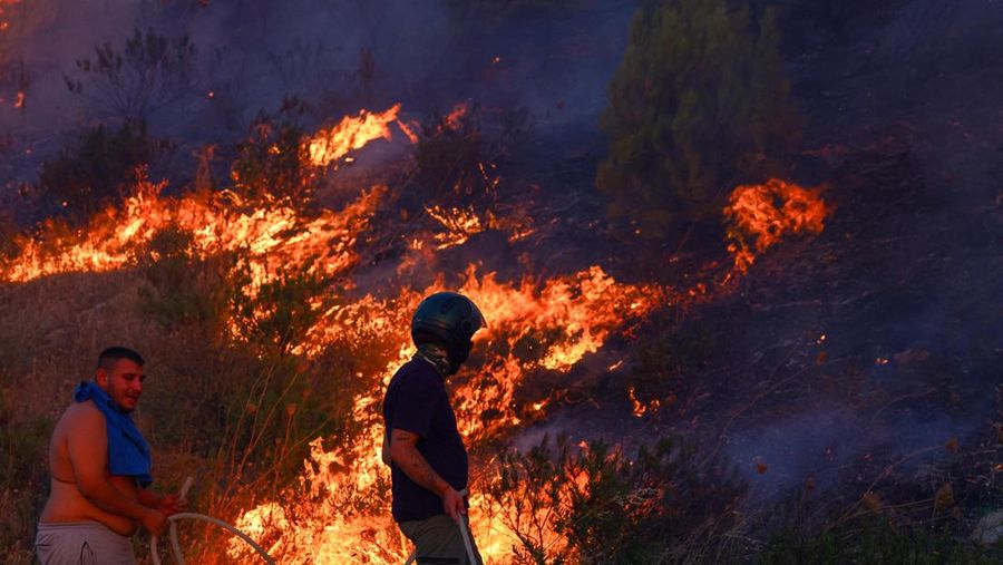 Kebakaran hutan di provinsi Canakkale, barat laut Turki. (REUTERS/Efekan Akyuz)