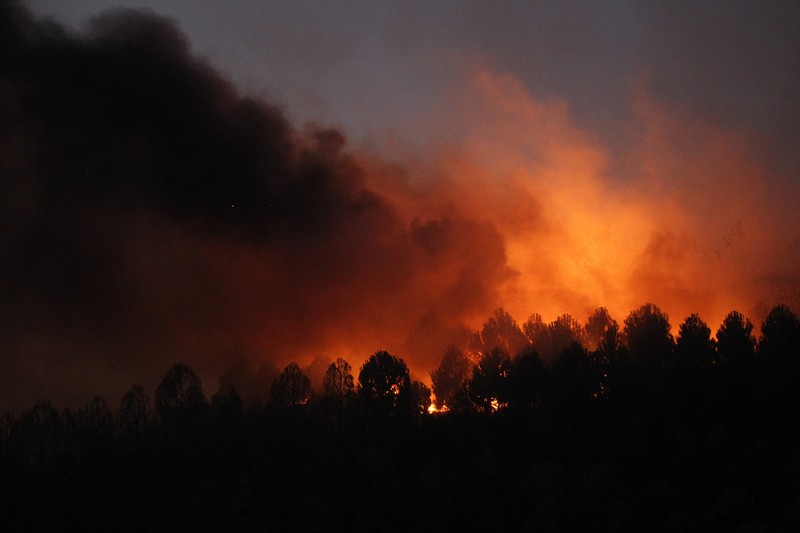 Kebakaran hutan di provinsi Canakkale, barat laut Turki. (REUTERS/Efekan Akyuz)