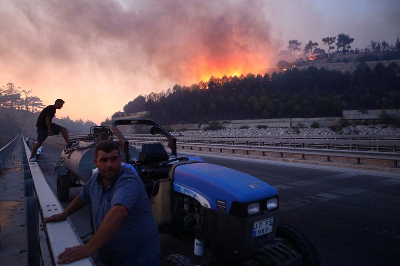 Kebakaran hutan di provinsi Canakkale, barat laut Turki. (REUTERS/Efekan Akyuz)