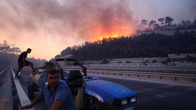 Kebakaran hutan di provinsi Canakkale, barat laut Turki. (REUTERS/Efekan Akyuz)