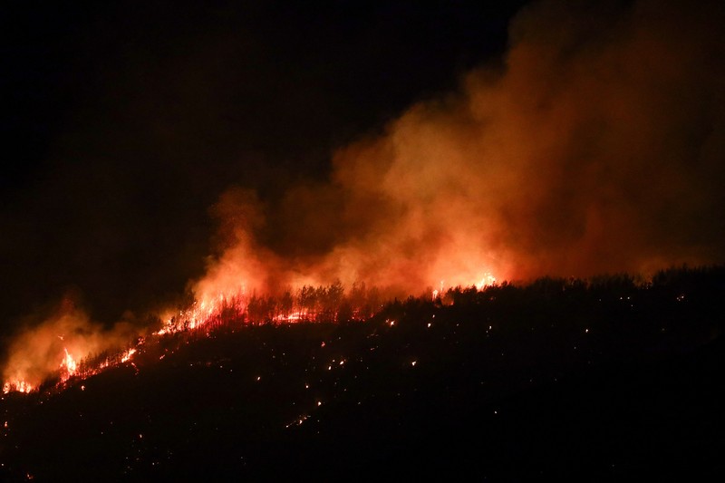 Kebakaran hutan di provinsi Canakkale, barat laut Turki. (REUTERS/Efekan Akyuz)