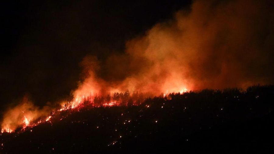 Kebakaran hutan di provinsi Canakkale, barat laut Turki. (REUTERS/Efekan Akyuz)