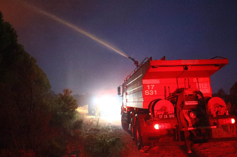 Kebakaran hutan di provinsi Canakkale, barat laut Turki. (REUTERS/Efekan Akyuz)