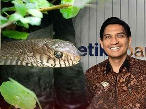 Lucky Hakim Lepas Ribuan Ular, Pakar Unpad Soroti 3 Hal Ini