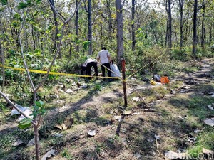 Mayat Wanita Nyaris Bugil Ditemukan di Hutan Ponorogo, Ada Luka di Kepala