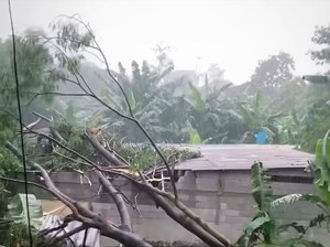 Pohon Timpa Gudang hingga Rusak di Bekasi, Sejumlah Karyawan Terluka