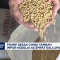 Video: Trump Desak China Tambah Impor Kedelai AS Empat Kali Lipat
