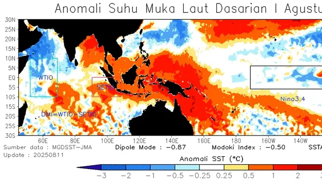 Daftar Wilayah RI Zona Merah Kekeringan-Hujan Ekstrem, Diwarning BMKG