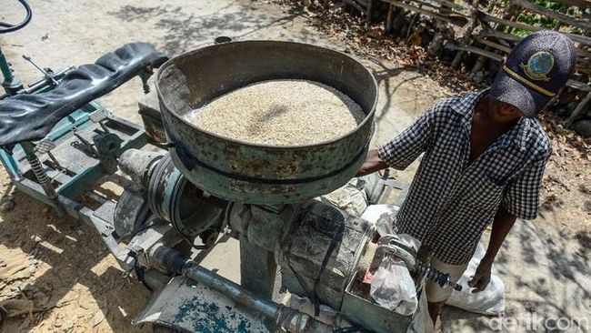 Gonjang-ganjing Kasus Beras, Begini Dampaknya ke Penggilingan Padi