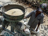 Gonjang-ganjing Kasus Beras, Penggilingan Padi Setop Produksi