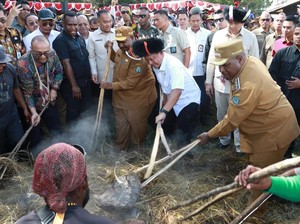 Momen Mendagri Buka Acara Bakar Batu saat Kunjungan ke Papua Pegunungan