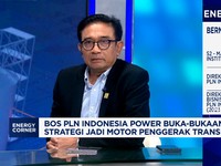 Video: Bos PLN IP Buka-bukaan Strategi Kembangkan Pembangkit  EBT