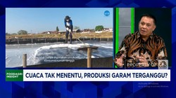 Video: Demi Swasembada, PT Garam Pakai Teknologi MVR-Perluas Tambak