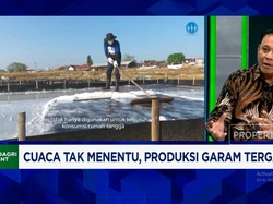 Video: Demi Swasembada, PT Garam Pakai Teknologi MVR-Perluas Tambak