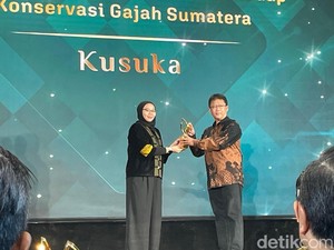 Kusuka Gelar Program Konservasi Gajah Sumatera