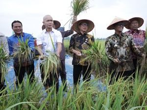 Mendes Puji Kolaborasi Kejaksaan-Petani Lampung Tengah Wujudkan Swasembada Pangan