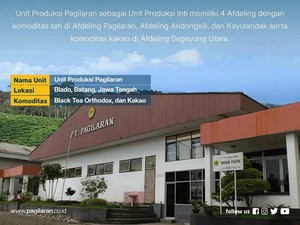 Profil PT Pagilaran yang Terkait Kasus Dosen UGM Korupsi Kakao Rp 7,4 Miliar