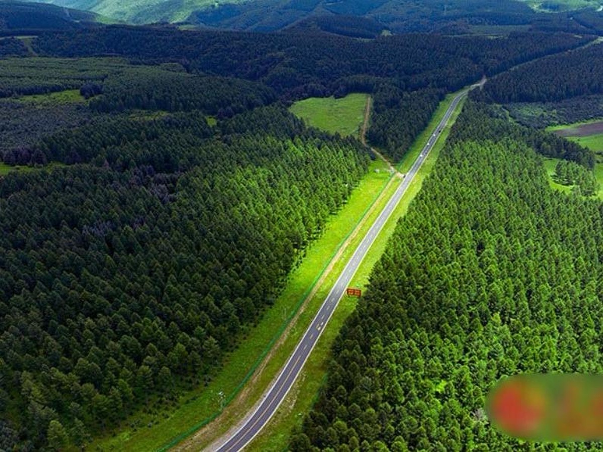 Penghijauan Besar-Besaran di China Mengubah Distribusi Air Tawarnya