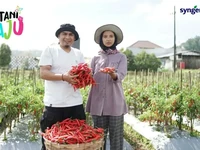 Syngenta Indonesia Berdayakan Petani Hadapi Tantangan Resistensi Hama
