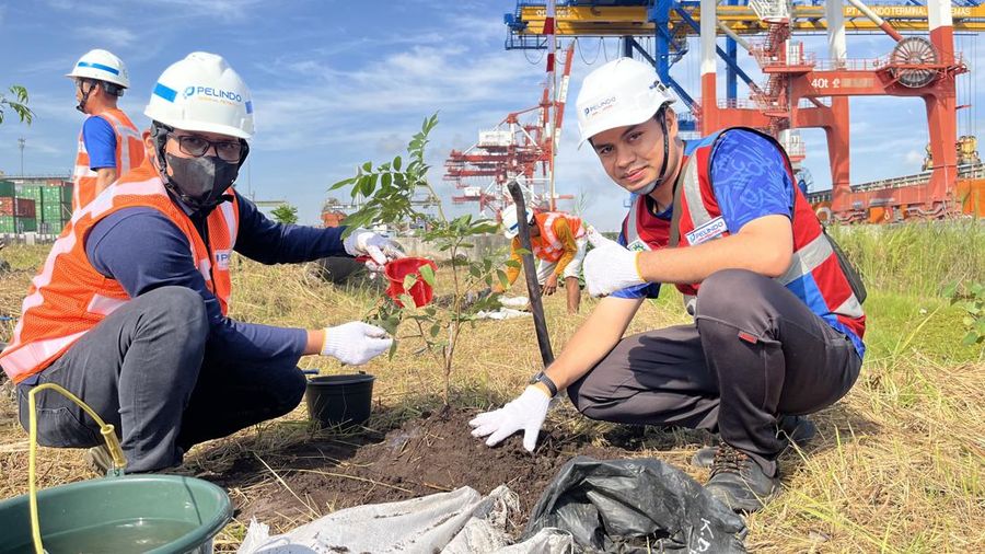 Penanaman Pohon di area kerja PT Pelindo Terminal Petikemas (Dok Pelindo Terminal Petikemas)