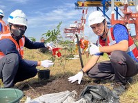 Sambut HUT RI, Pelindo Petikemas Tanam 1.000 Pohon Hijaukan Area Kerja