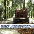 Video: Prabowo Rebut 3,1 Juta Lahan Sawit Yang 