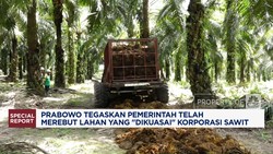 Video: Prabowo Rebut 3,1 Juta Lahan Sawit Yang 