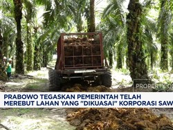 Video: Prabowo Rebut 3,1 Juta Lahan Sawit Yang "Dikuasai" Korporasi