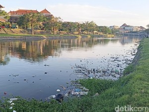 Temuan KLH: Alih Fungsi Lahan di Sepanjang DAS Bali Terjadi Sejak 2015